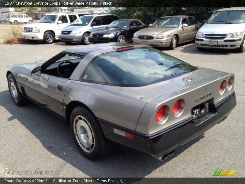  1987 Corvette Coupe Silver Beige Metallic