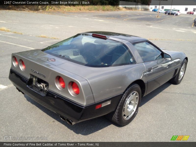  1987 Corvette Coupe Silver Beige Metallic