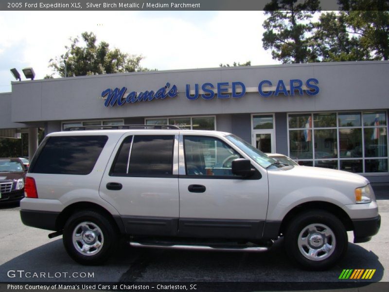 Silver Birch Metallic / Medium Parchment 2005 Ford Expedition XLS