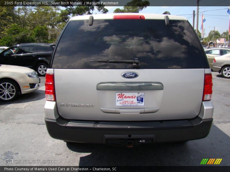 Silver Birch Metallic / Medium Parchment 2005 Ford Expedition XLS