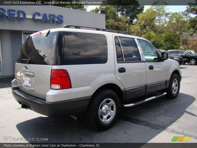 Silver Birch Metallic / Medium Parchment 2005 Ford Expedition XLS