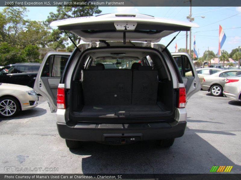 Silver Birch Metallic / Medium Parchment 2005 Ford Expedition XLS