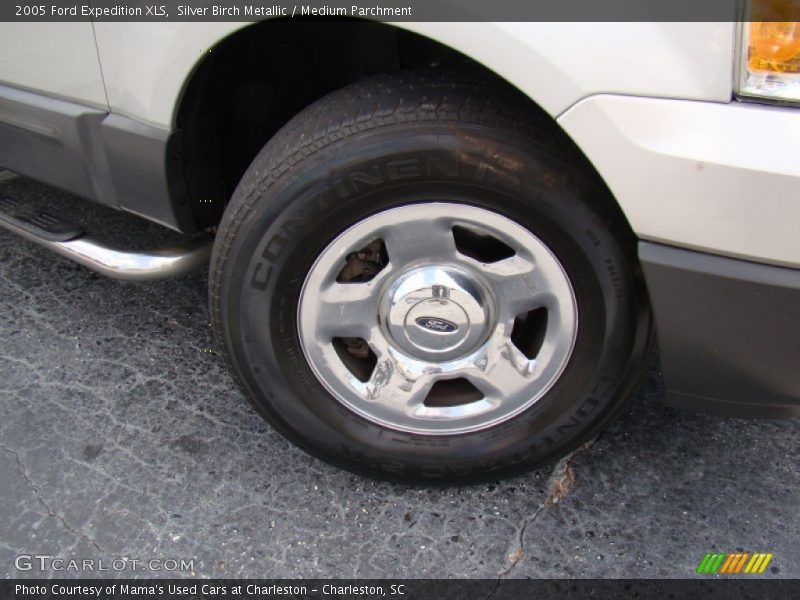 Silver Birch Metallic / Medium Parchment 2005 Ford Expedition XLS