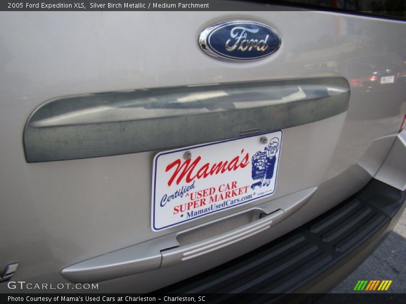 Silver Birch Metallic / Medium Parchment 2005 Ford Expedition XLS
