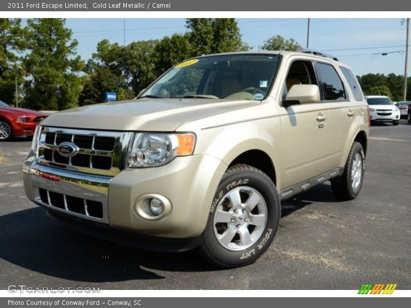Gold Leaf Metallic / Camel 2011 Ford Escape Limited