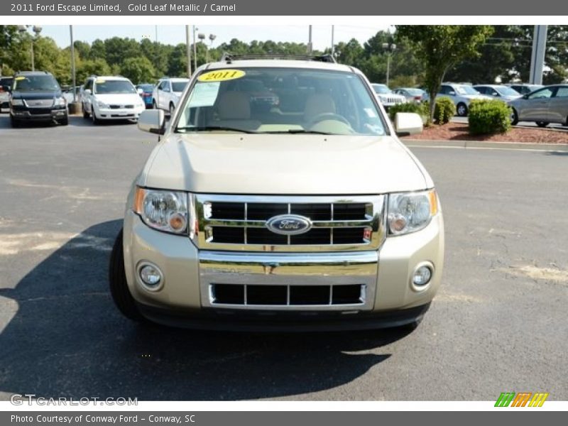 Gold Leaf Metallic / Camel 2011 Ford Escape Limited