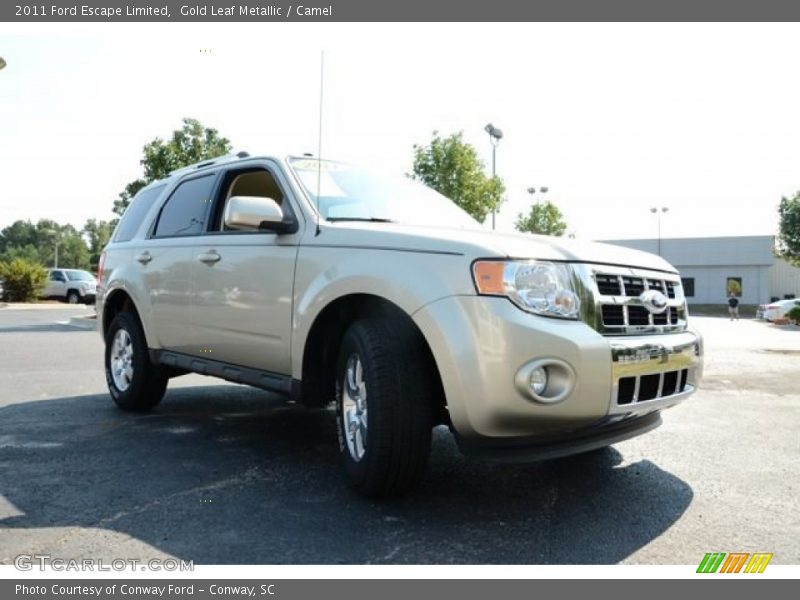 Gold Leaf Metallic / Camel 2011 Ford Escape Limited