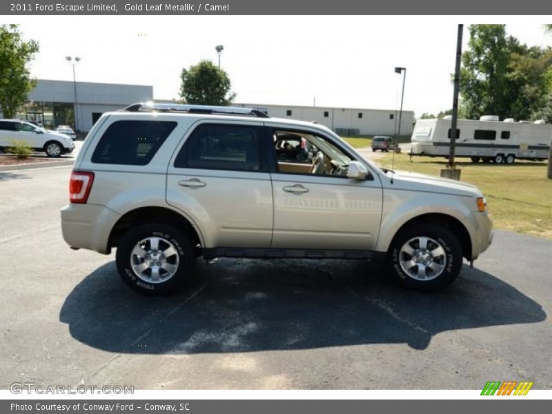 Gold Leaf Metallic / Camel 2011 Ford Escape Limited