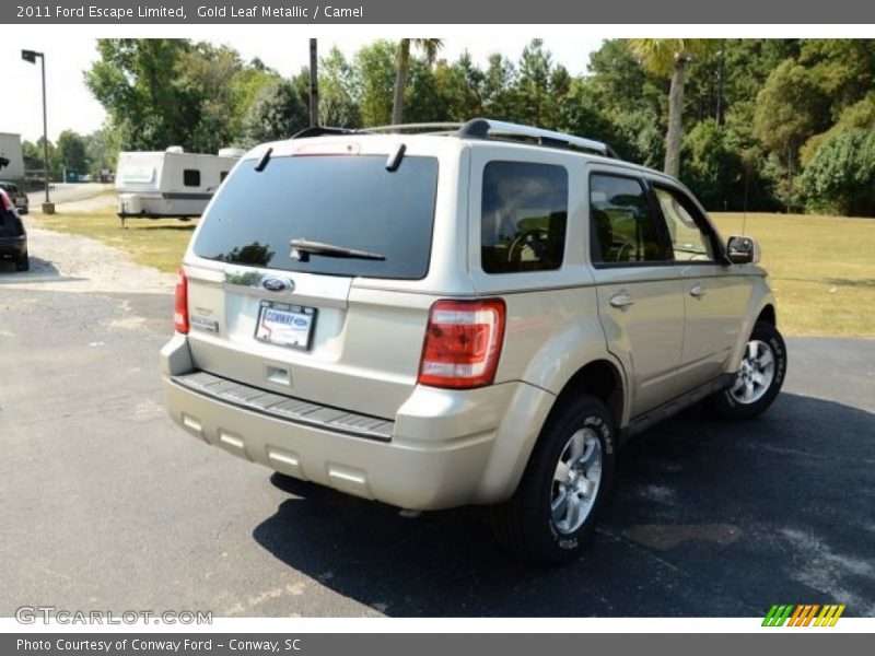 Gold Leaf Metallic / Camel 2011 Ford Escape Limited