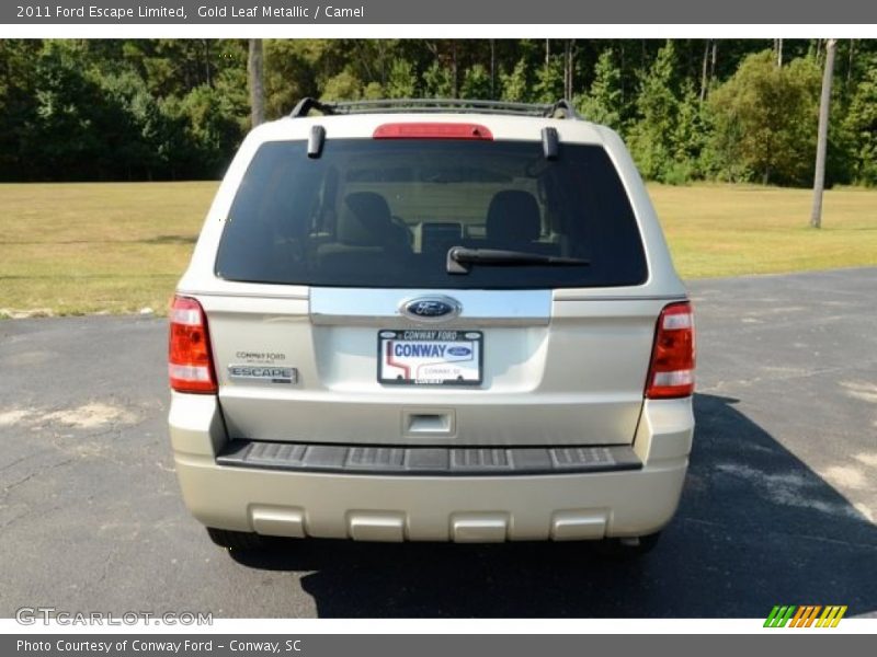 Gold Leaf Metallic / Camel 2011 Ford Escape Limited