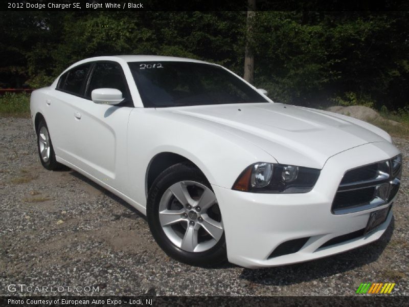 Bright White / Black 2012 Dodge Charger SE