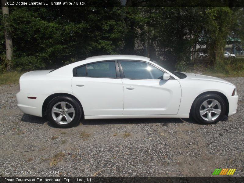 Bright White / Black 2012 Dodge Charger SE
