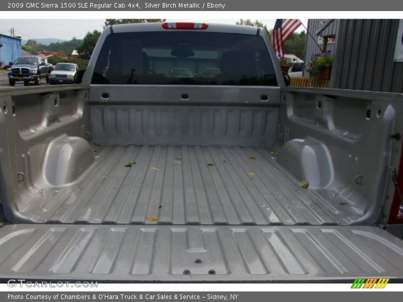 Silver Birch Metallic / Ebony 2009 GMC Sierra 1500 SLE Regular Cab 4x4