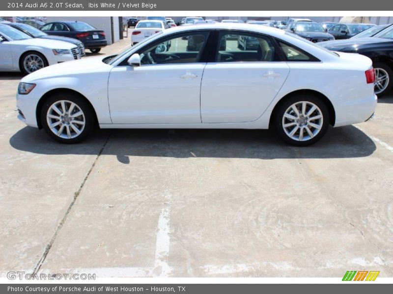 Ibis White / Velvet Beige 2014 Audi A6 2.0T Sedan