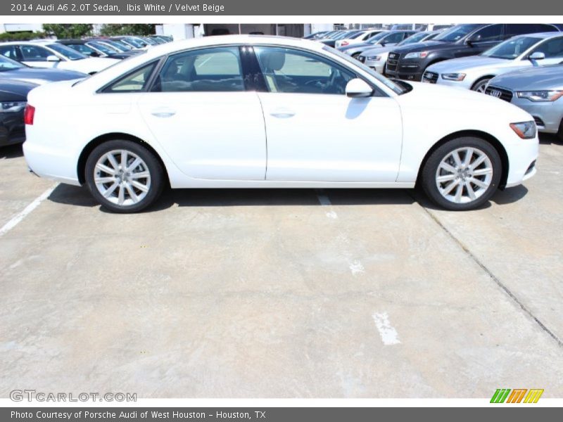 Ibis White / Velvet Beige 2014 Audi A6 2.0T Sedan