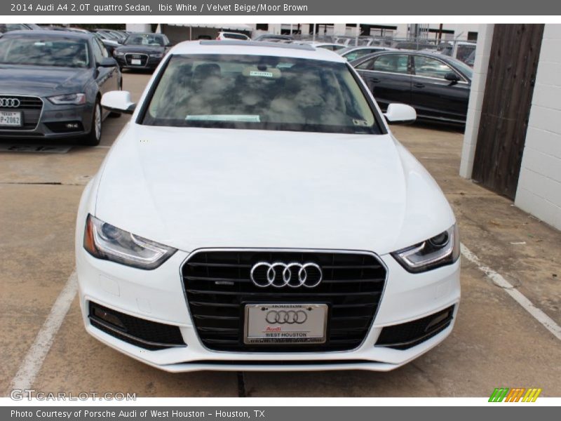 Ibis White / Velvet Beige/Moor Brown 2014 Audi A4 2.0T quattro Sedan