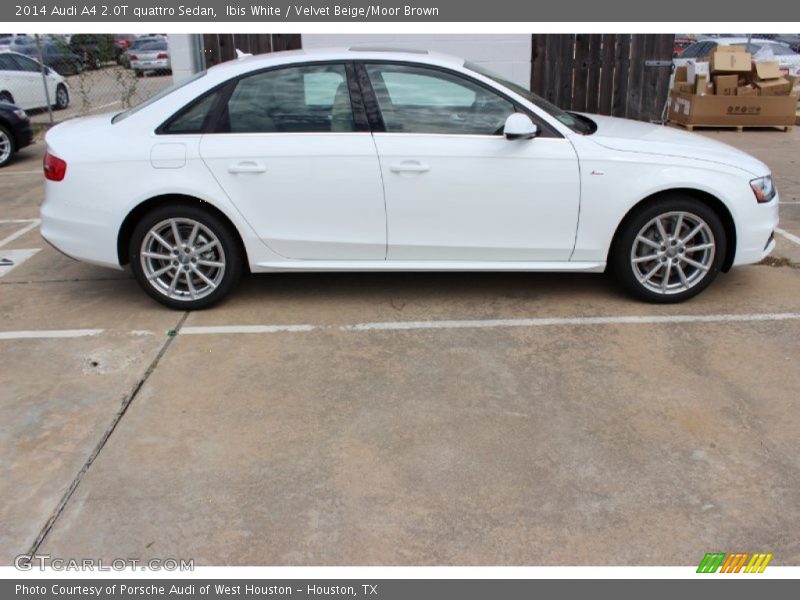 Ibis White / Velvet Beige/Moor Brown 2014 Audi A4 2.0T quattro Sedan