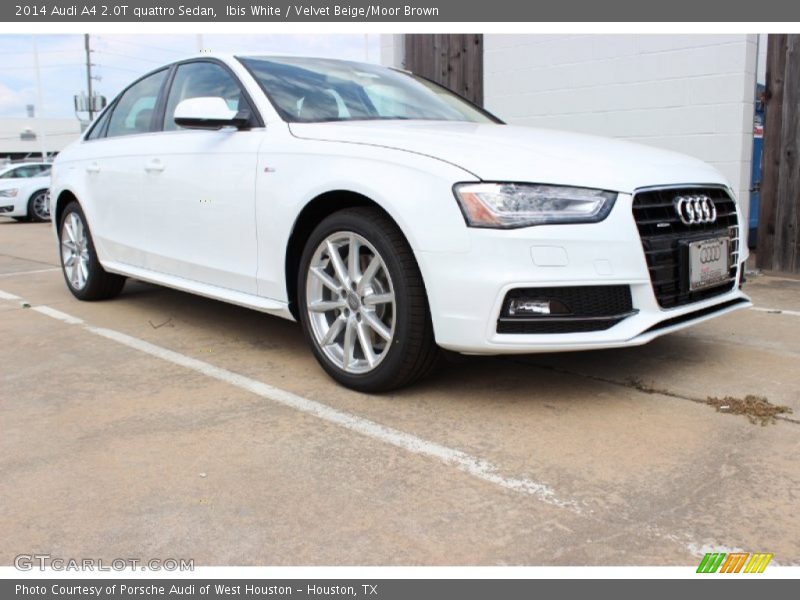 Ibis White / Velvet Beige/Moor Brown 2014 Audi A4 2.0T quattro Sedan