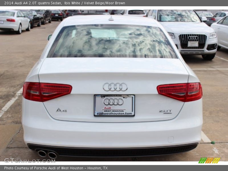 Ibis White / Velvet Beige/Moor Brown 2014 Audi A4 2.0T quattro Sedan