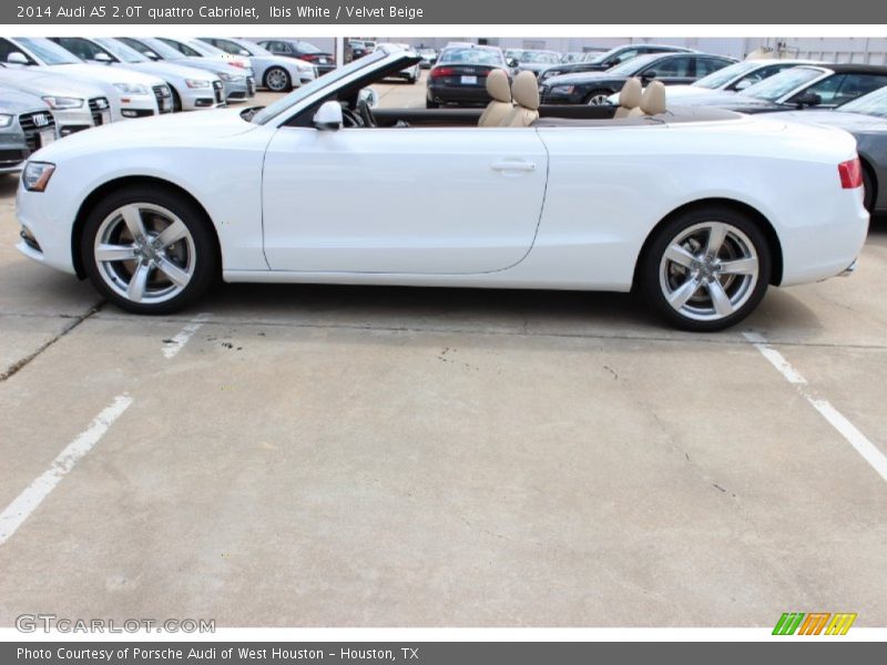 Ibis White / Velvet Beige 2014 Audi A5 2.0T quattro Cabriolet