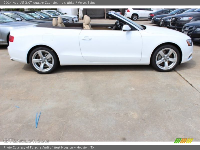Ibis White / Velvet Beige 2014 Audi A5 2.0T quattro Cabriolet
