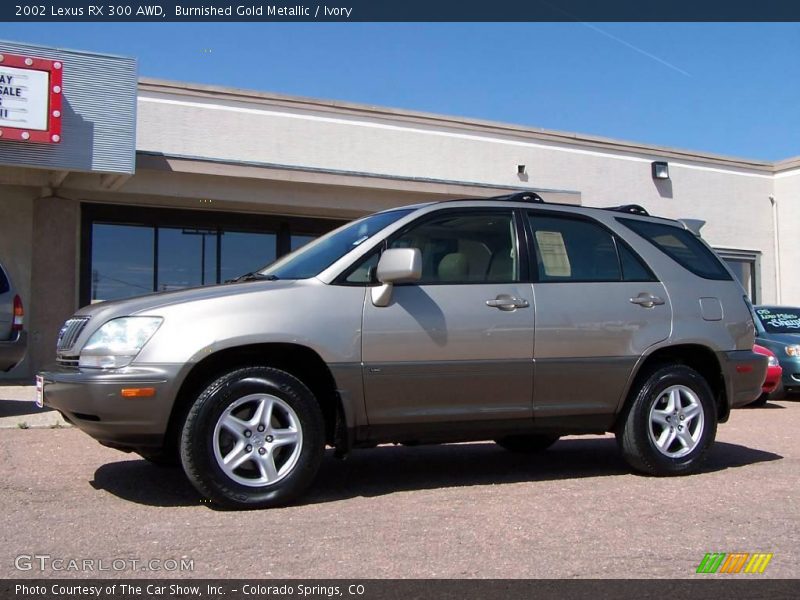 Burnished Gold Metallic / Ivory 2002 Lexus RX 300 AWD