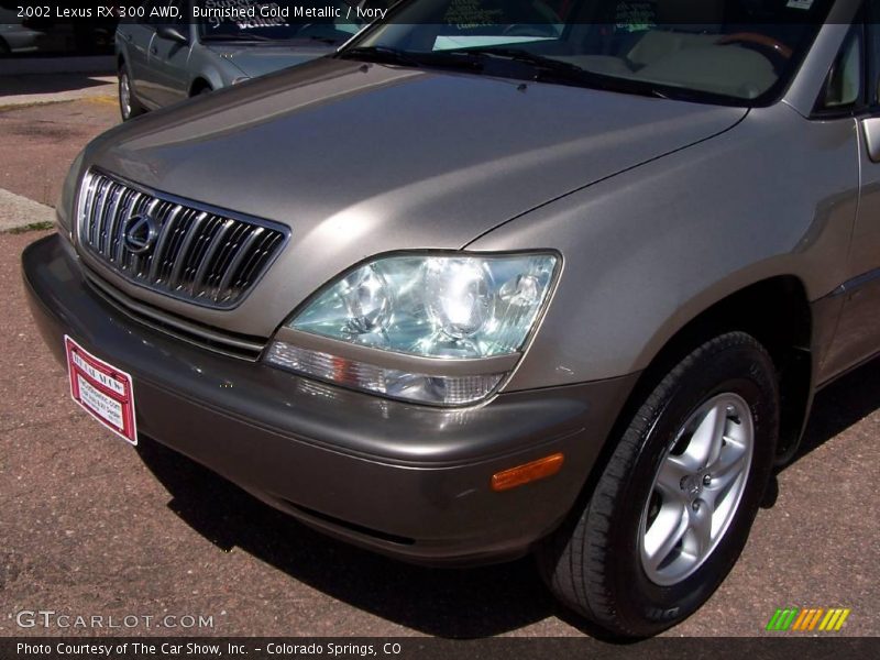 Burnished Gold Metallic / Ivory 2002 Lexus RX 300 AWD