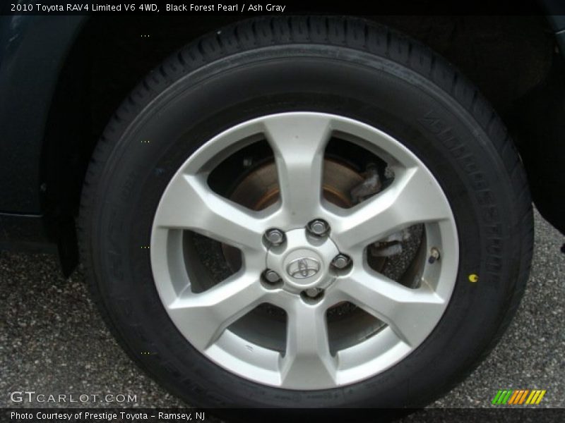 Black Forest Pearl / Ash Gray 2010 Toyota RAV4 Limited V6 4WD
