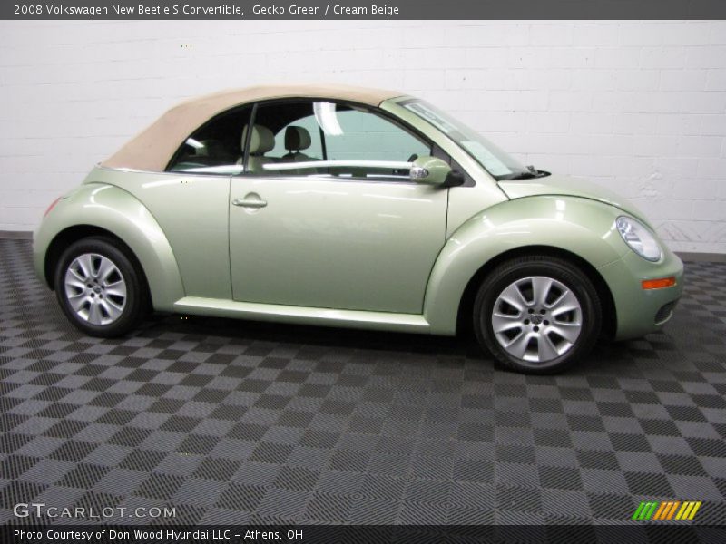 Gecko Green / Cream Beige 2008 Volkswagen New Beetle S Convertible
