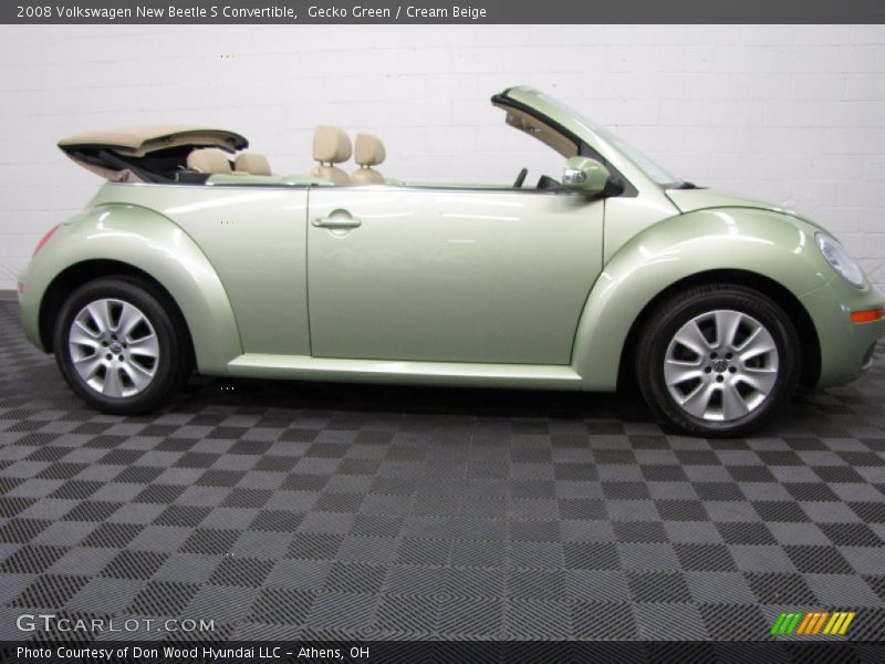 Gecko Green / Cream Beige 2008 Volkswagen New Beetle S Convertible