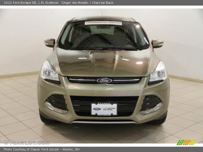 Ginger Ale Metallic / Charcoal Black 2013 Ford Escape SEL 1.6L EcoBoost