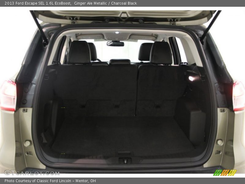 Ginger Ale Metallic / Charcoal Black 2013 Ford Escape SEL 1.6L EcoBoost
