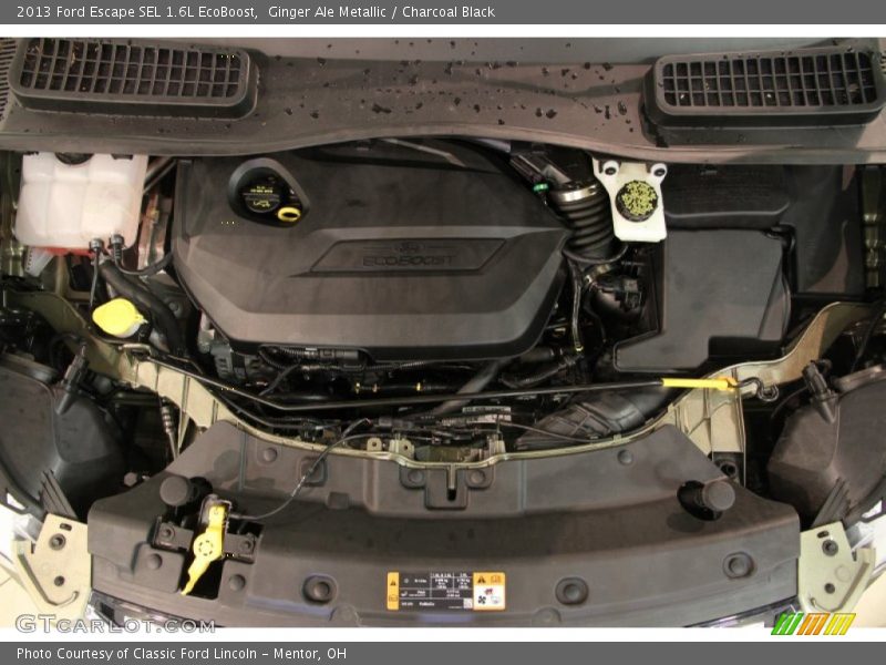 Ginger Ale Metallic / Charcoal Black 2013 Ford Escape SEL 1.6L EcoBoost