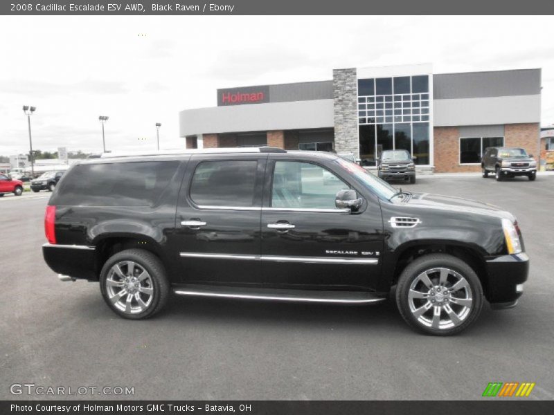 Black Raven / Ebony 2008 Cadillac Escalade ESV AWD