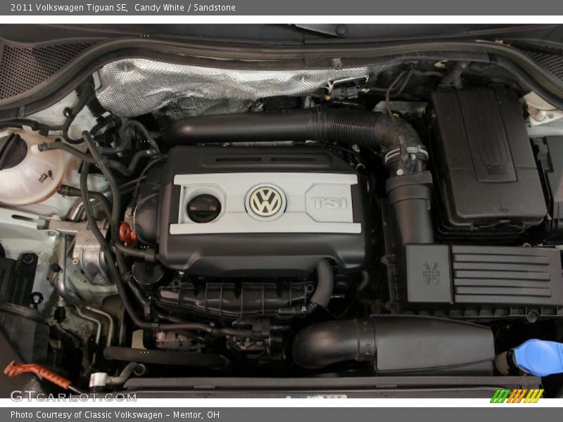 Candy White / Sandstone 2011 Volkswagen Tiguan SE