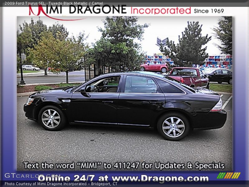Tuxedo Black Metallic / Camel 2009 Ford Taurus SEL