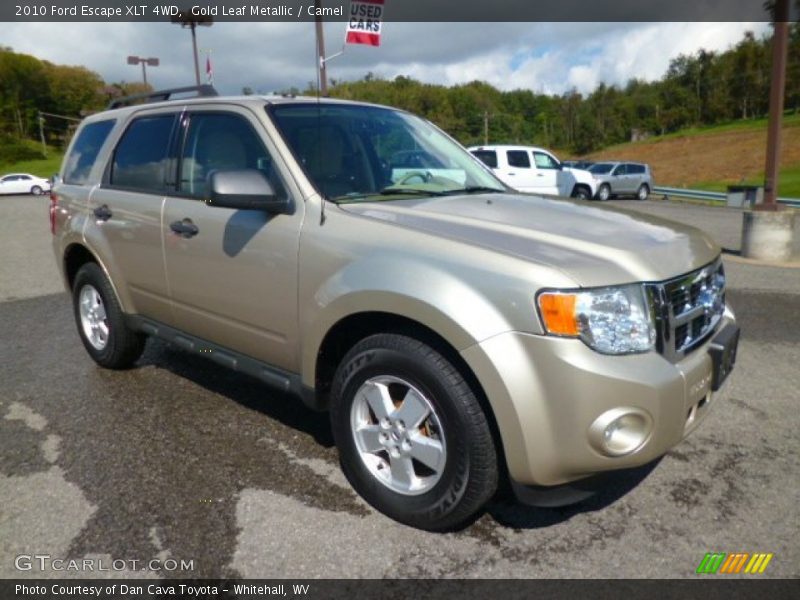 Gold Leaf Metallic / Camel 2010 Ford Escape XLT 4WD