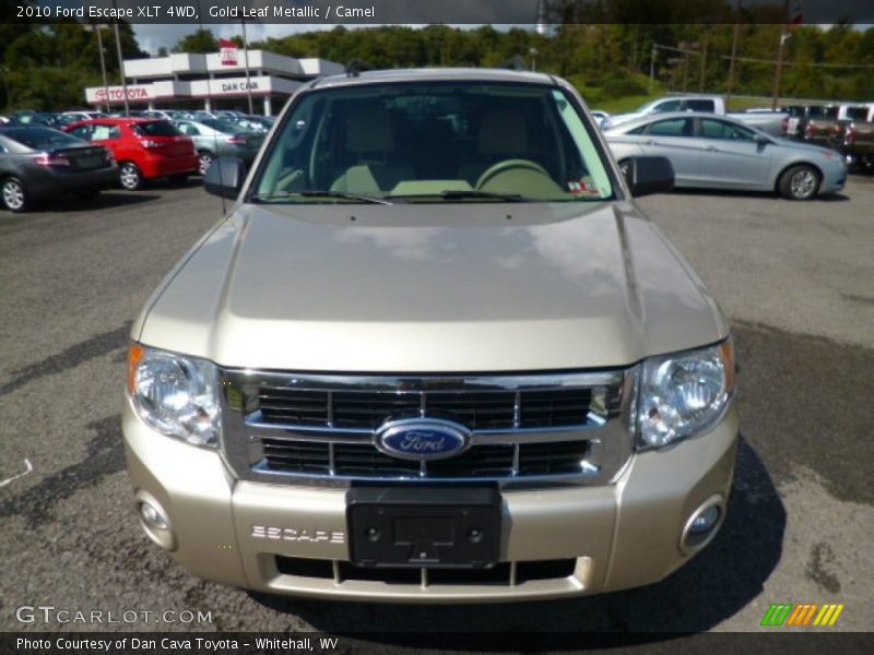 Gold Leaf Metallic / Camel 2010 Ford Escape XLT 4WD