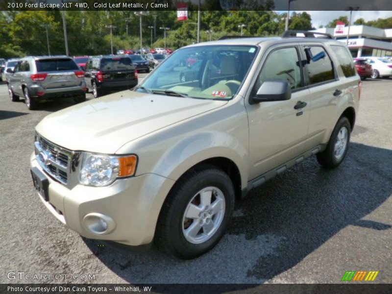 Gold Leaf Metallic / Camel 2010 Ford Escape XLT 4WD