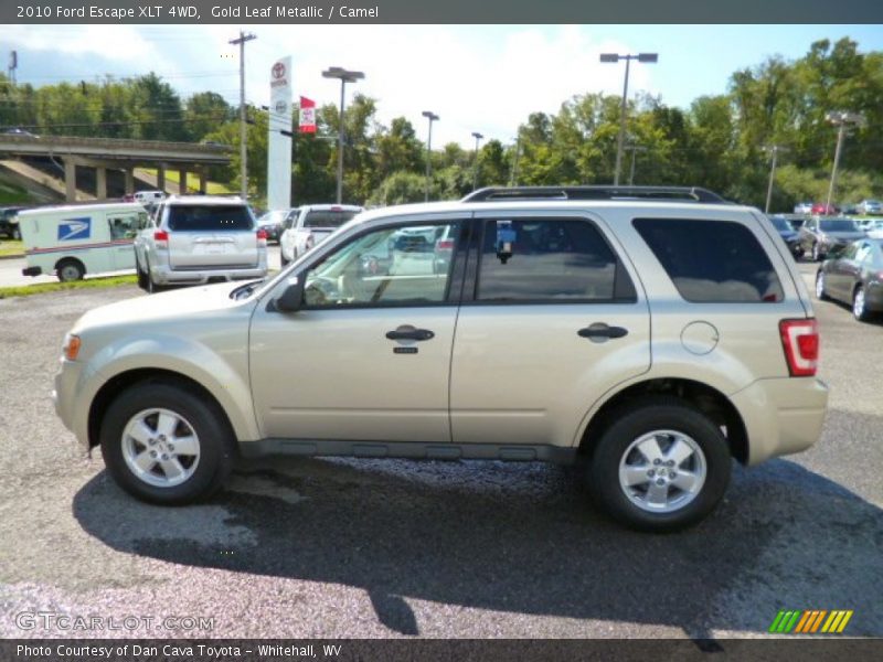 Gold Leaf Metallic / Camel 2010 Ford Escape XLT 4WD