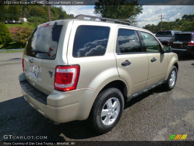 Gold Leaf Metallic / Camel 2010 Ford Escape XLT 4WD