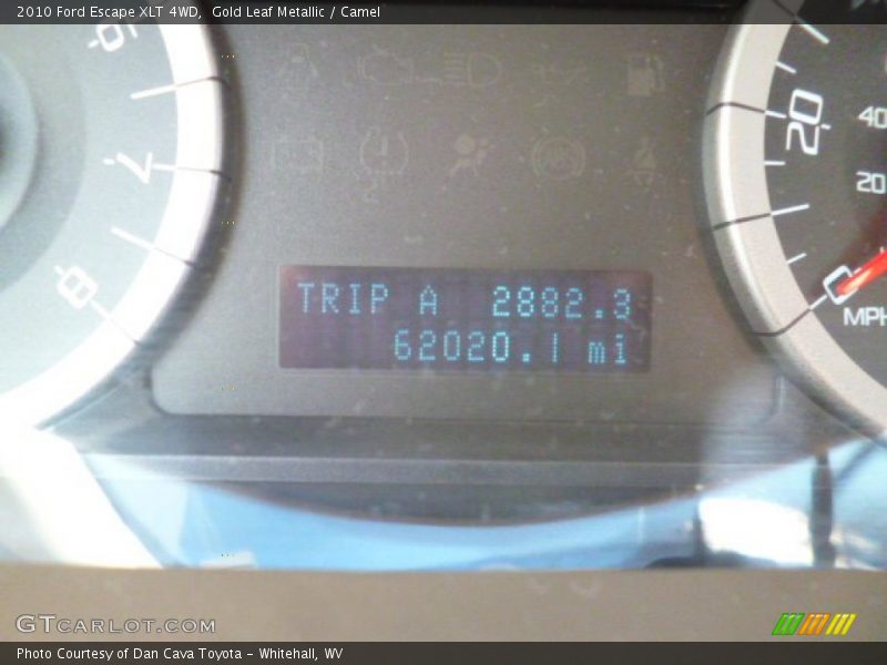 Gold Leaf Metallic / Camel 2010 Ford Escape XLT 4WD