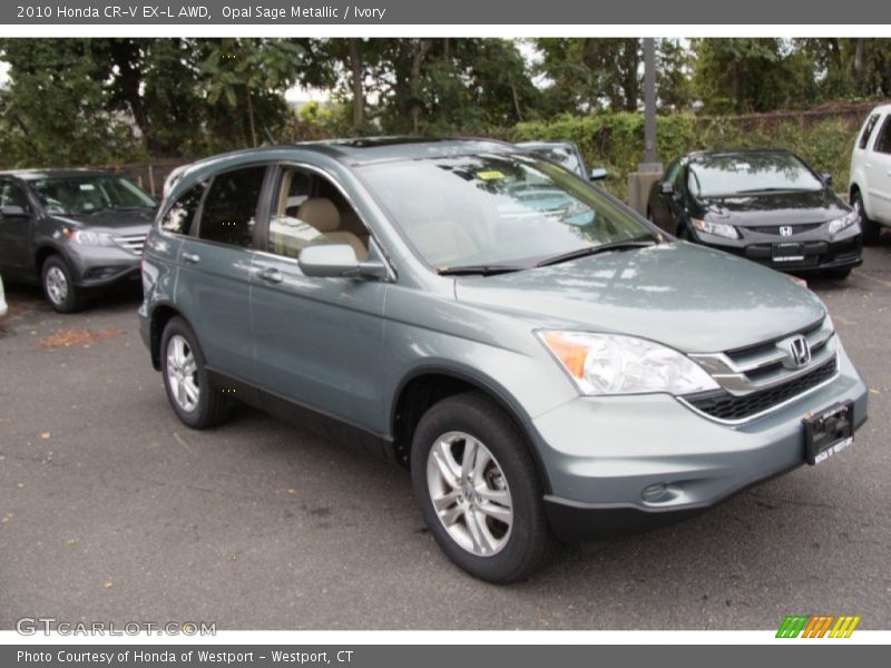 Opal Sage Metallic / Ivory 2010 Honda CR-V EX-L AWD