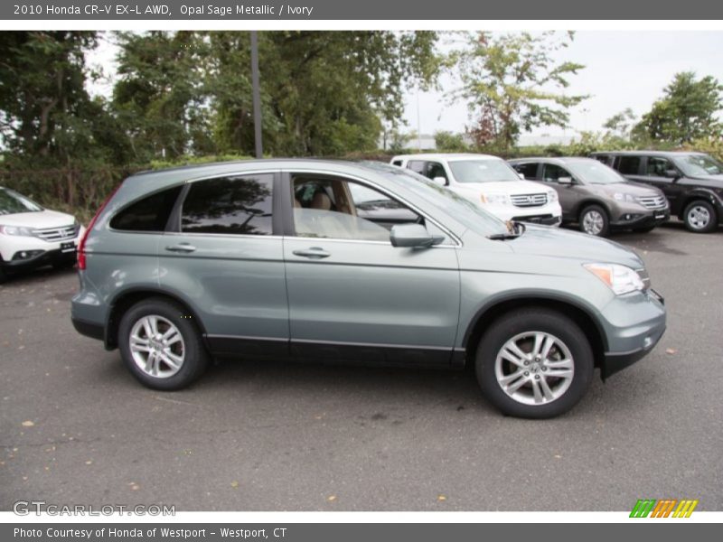 Opal Sage Metallic / Ivory 2010 Honda CR-V EX-L AWD