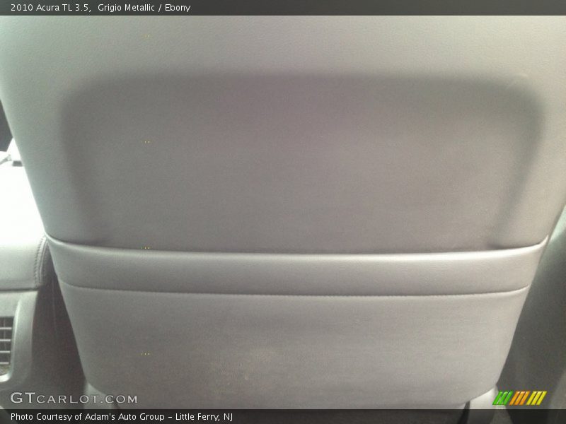 Grigio Metallic / Ebony 2010 Acura TL 3.5