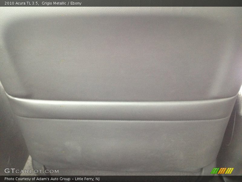 Grigio Metallic / Ebony 2010 Acura TL 3.5