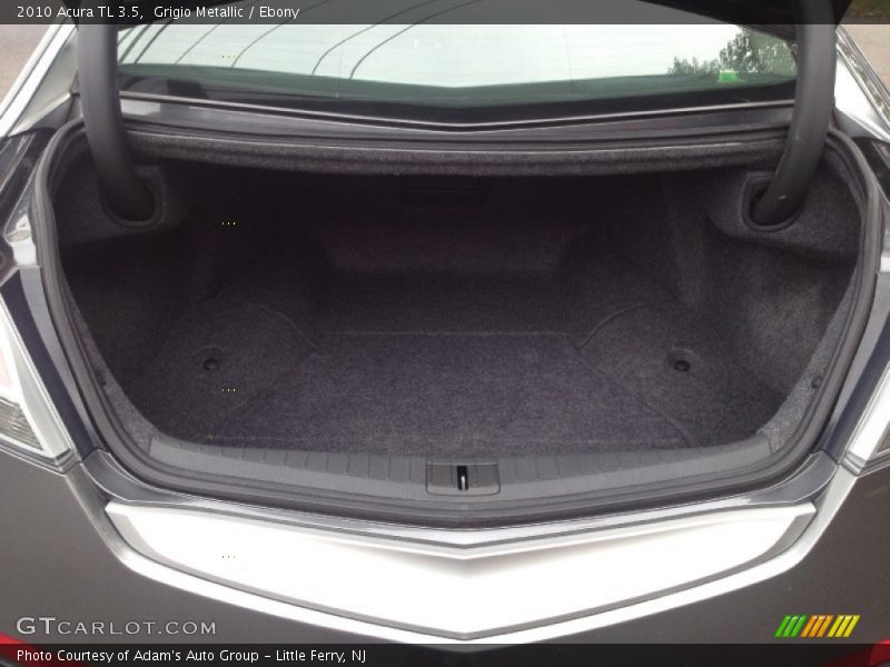 Grigio Metallic / Ebony 2010 Acura TL 3.5