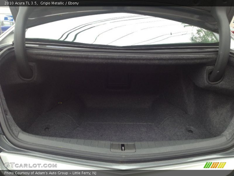 Grigio Metallic / Ebony 2010 Acura TL 3.5