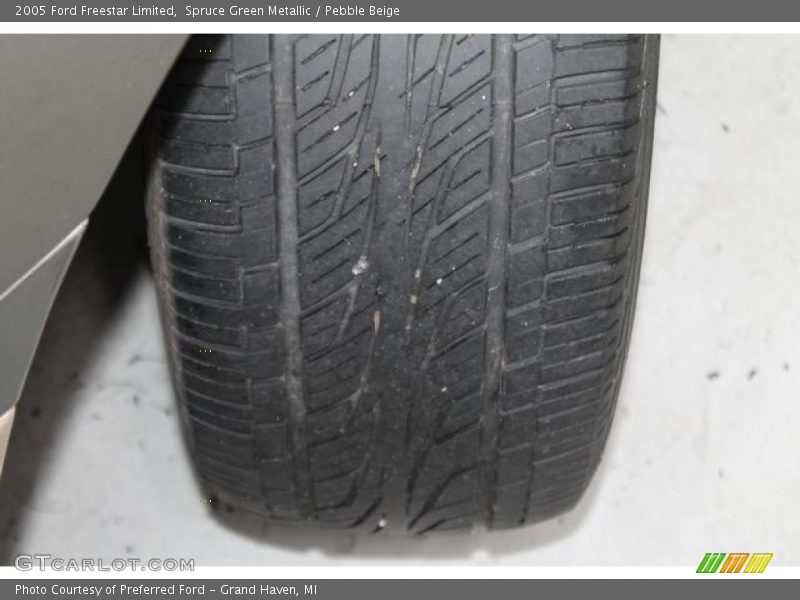 Spruce Green Metallic / Pebble Beige 2005 Ford Freestar Limited