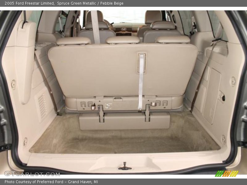 Spruce Green Metallic / Pebble Beige 2005 Ford Freestar Limited